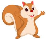 Happy Squirrel 