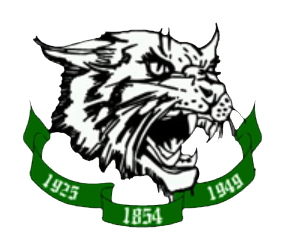 Arundel High Wildcat