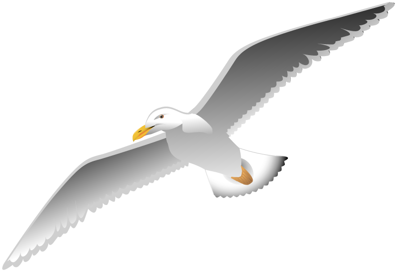 Cape St. Claire Elementary School - Seagull