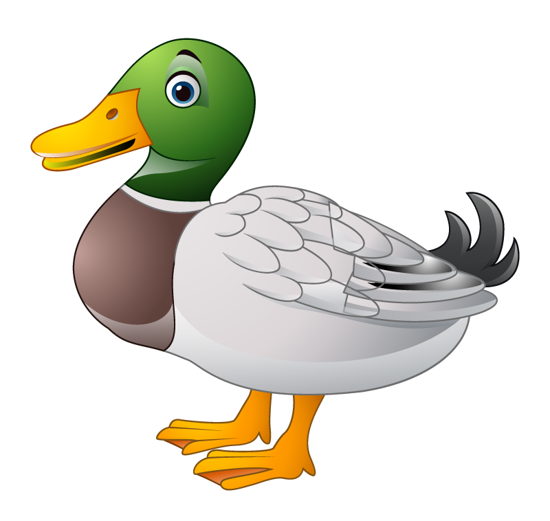 Mayo Mallard
