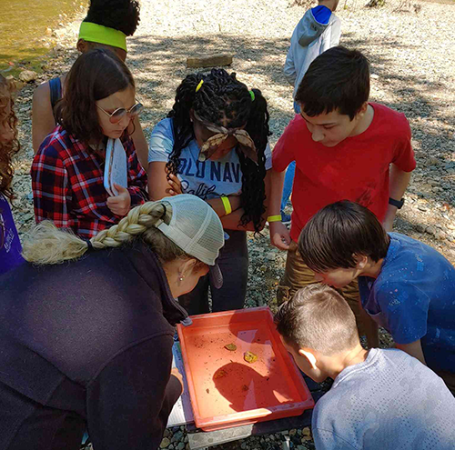 Kids doing outdoor activities 