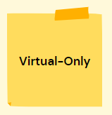 Virtual-Only 