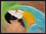 Chalk drawing of a blue and green parrot
