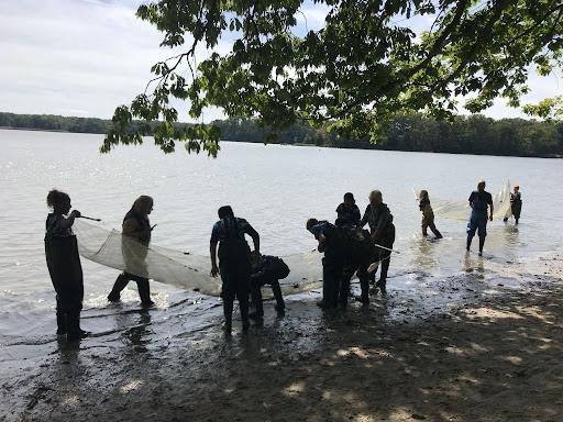 Students seining to assess biodiversity